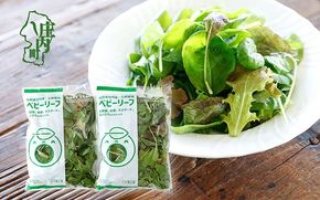 庄内産 ベビーリーフミックス 70g×2袋 土耕栽培 サラダ スムージー 若葉 野菜 生野菜 新鮮 山形県 冷蔵