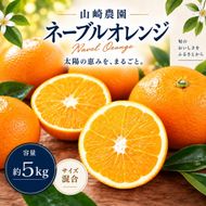 ネーブルオレンジ 約5kg サイズおまかせ アルギット 栽培 国産 甘い おいしい ジューシー 皮 薄い 完熟 期間限定 フルーツ 果物 人気 おすすめ 高級 こだわり ギフト 旬 山崎農園 和歌山 DT24