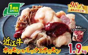 【1週間以内発送】数量限定 希少近江牛ホルモン＆ミックスホルモン 合計1.9kg【FO05W】