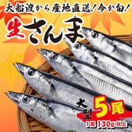 【先行予約受付】 さんま 大型5尾 冷蔵 期間限定 [発送:2026年9月～2026年11月下旬] サンマ 秋刀魚 三陸 岩手 大船渡市 [kama030]