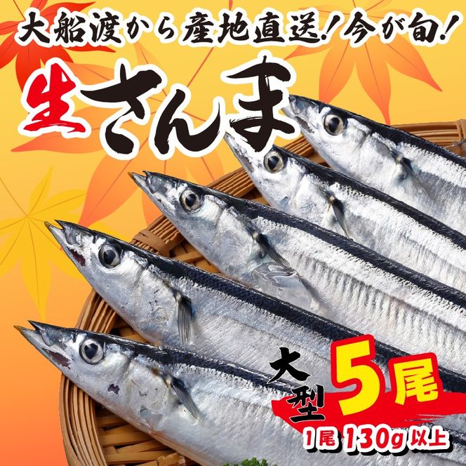 【先行予約受付】 さんま 大型5尾 冷蔵 鮮秋刀魚 期間限定 [発送:2024年9月～2024年11月下旬] 三陸 岩手 大船渡市 [kama030]