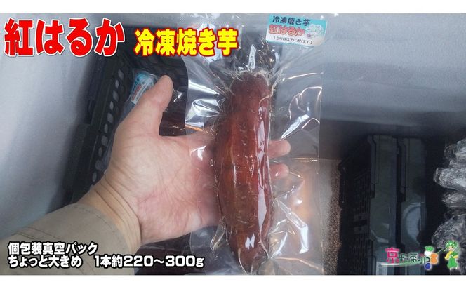 冷凍焼き芋 紅はるか（京都産） 3.2kg入 個包装真空パック　DJ00006