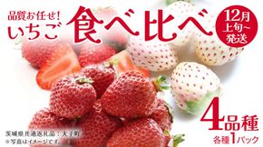 いちごの 食べ比べ 4品種×1パック【2025年12月上旬発送開始】(茨城県共通返礼品：大子町) いちご 苺 果物 フルーツ 果実