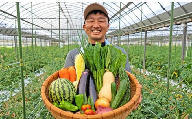 【一週間以内に発送】宗像とれたて　野菜・たまごセット【オアシス】_HA0778