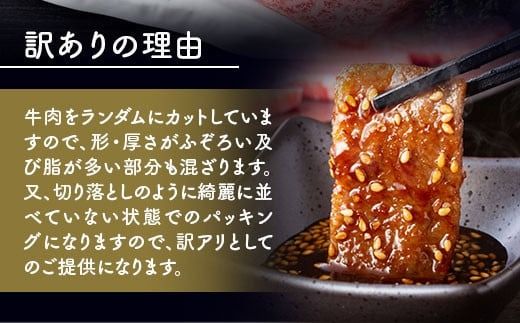 訳あり！【A4～A5】博多和牛焼肉切り落とし(肩ロース・バラ）　500ｇ DX039