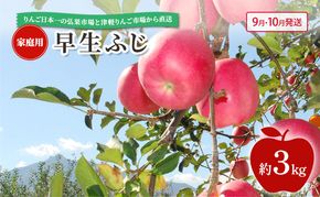 【 9月・10月発送 】 家庭用 早生ふじ 約 3kg 【 青森県鶴田町産 りんご 青森りんご 】果物類 フルーツ 林檎 リンゴ 鶴田町 青森県 おやつ デザート