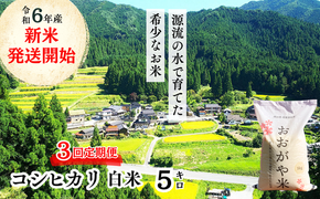 【3回定期便】白米 5kg 令和6年産 コシヒカリ 岡山 「おおがや米」生産組合 G-af-BDCA