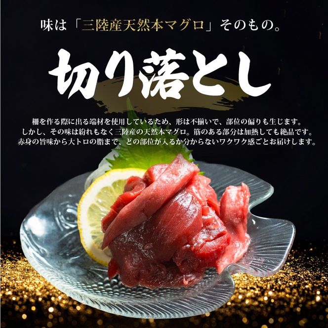 【スピード発送】 数量限定 天然本まぐろ 切り落とし 500g(100g×5) 訳あり まぐろ 刺身 さしみ 刺し身 鮮魚 まぐろ赤身 鮪 魚介 魚 マグロ 漬け ユッケ 海鮮丼 国産 天然まぐろ 高級 天然 人気 寿司 本鮪 お正月 年末 冷凍 三陸 大船渡 岩手 冊 ギフト ごちそう