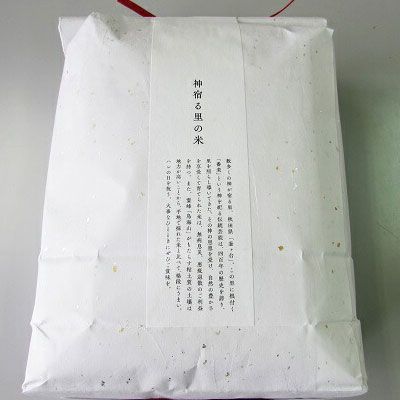 米 お米 【定期便】2ヶ月ごとに5kg×4回 鳥海山の恵み 農家直送！ あきたこまち（玄米・隔月） 計20kg サブスク