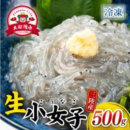 生 小女子(こうなご) 三陸産 数量限定 500g 冷凍 刺身 生食 小分け 刺身用 生食可能 小女子 こうなご 新子 しんこ イカナゴ 稚魚 新鮮 海鮮 魚介 国産 取り寄せ グルメ 急速冷凍 岩手 大船渡 岩手県 大船渡市 [kouyou014]