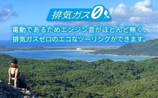 電動三輪バギーで行くレンタル2時間(1人乗り)【 沖縄 石垣島 レンタル バイク バギー トライク 車 】 RO-1