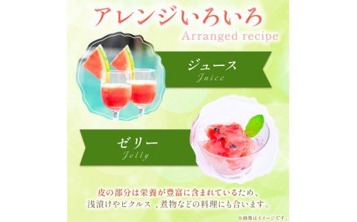 【先行予約／数量限定100】砂丘のたまご（小玉スイカ） 1玉（2026年6月中旬～発送）　JK00032
