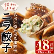 ＼テレビで紹介されました！／ニラ餃子(計48個・12個入り×4袋) 餃子 生餃子 ギョウザ ぎょうざ ギョーザ セット 詰め合わせ おかず お惣菜 冷凍 和風 水餃子【餃子のはま田】akn096-01