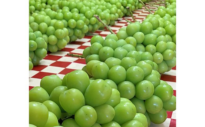 シャインマスカット 約5kg 6～8房 葡萄 フルーツ 岡山 高梁市産 こあに葡萄園 2026年 先行予約 果物類 ぶどう ブドウ 