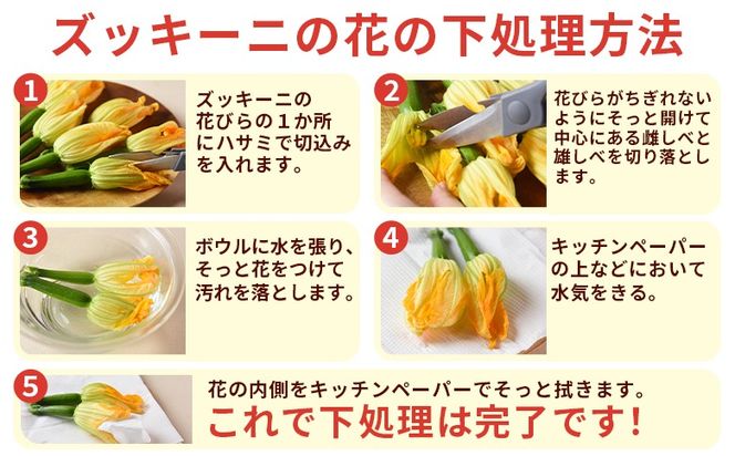 ＜あなたにズッキーニの花 8個＞1か月程度で出荷【 野菜 青果 国産 料理 アレンジ 天ぷら 】【b0916_hf】