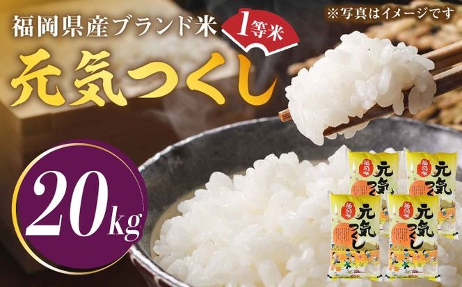 【先行予約】【令和7年産】福岡県産ブランド米「元気つくし」白米 20kg (5kg×4袋)【2025年11月以降順次発送】《築上町》【株式会社ゼロプラス】 [ABDD005]  