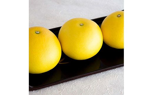 ＜先行予約 2026年2月上旬より順次発送＞ 高知県産 土佐文旦 贈答用 5kg【種田農園】