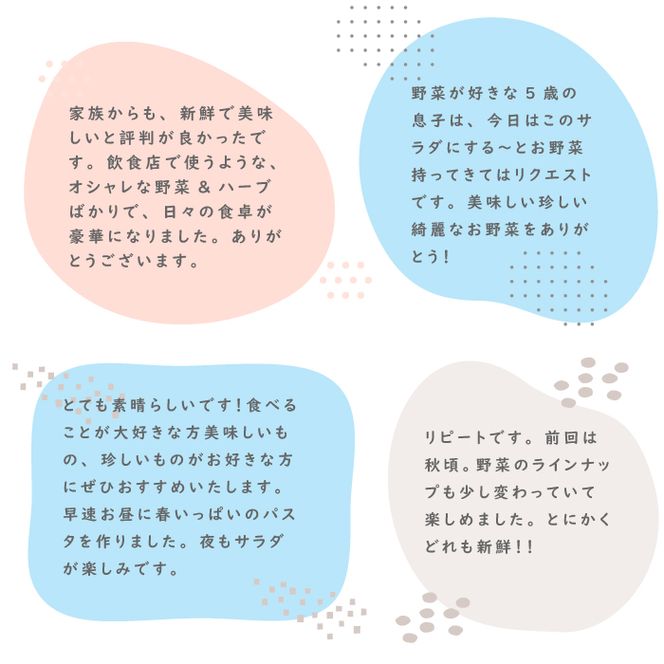 【定期便】彩り野菜と香るハーブセット 12回お届け　野菜