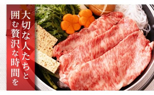 【 3ヶ月 定期便 】『常陸牛』すき焼き しゃぶしゃぶ用 ( 霜降 ) 400g ( 茨城県共通返礼品 ) 国産 お肉 肉 すきやき A4ランク A5ランク ブランド牛[BM045us]