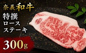 奈義和牛 特撰 ロース ステーキ 300g / 奈義和牛 なぎビーフ ロース ステーキ 和牛 国産和牛 国産牛 牛肉 高級 冷凍 岡山県産 奈義町 【mtsy004】