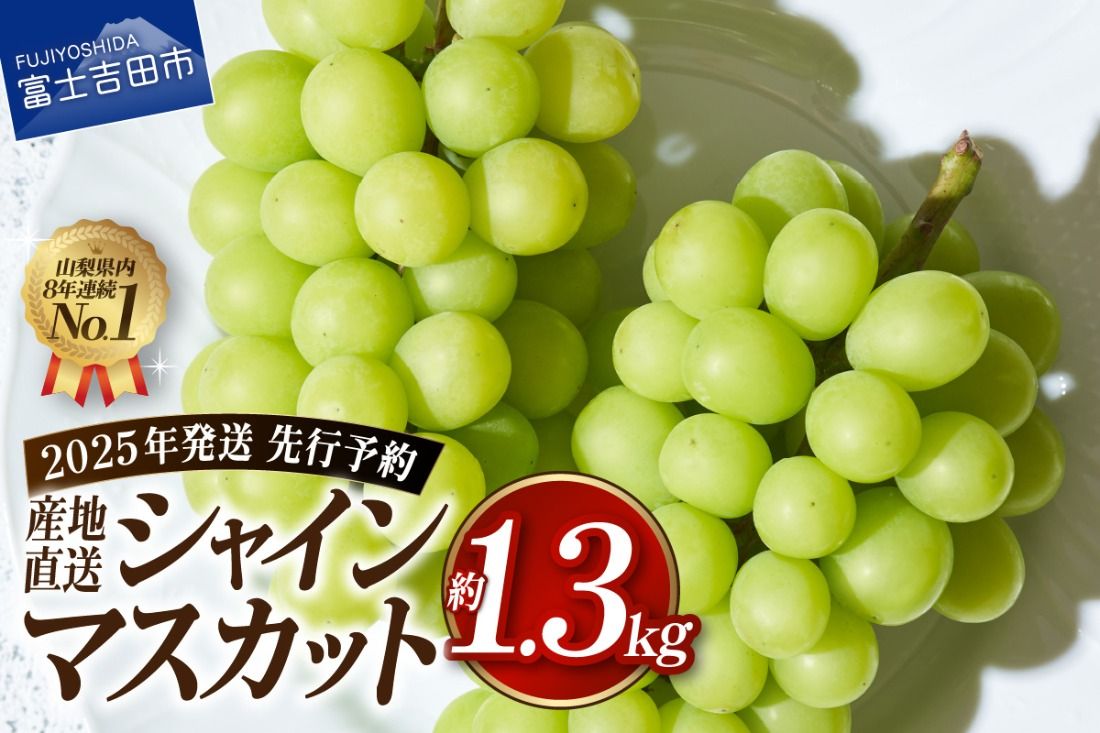 [2025年先行予約]高級 山梨県産 シャインマスカット 2房 (約1.3kg) 果物 旬 先行予約 フルーツ 高級 シャイン ぶどう 山梨 富士吉田