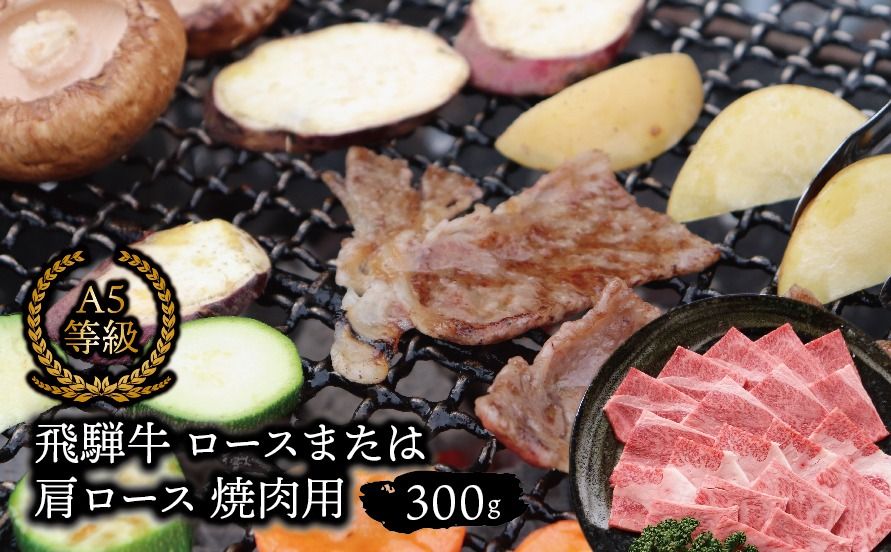 F-5b A5等級 飛騨牛ロース又は肩ロース 焼き肉用 約300g