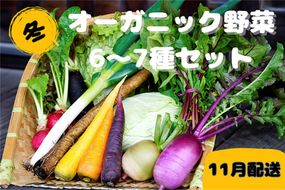 【先行予約：11月配送】＜てんとうむしばたけ＞冬のオーガニック野菜セット　有機野菜6～7種前後　BR00057_11
