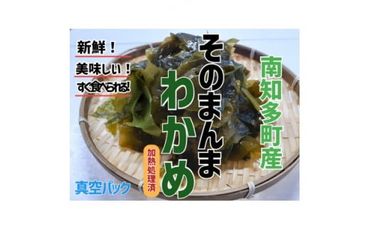 真空 そのまんま わかめ 100g × 6 パック 冷凍 真空パック ワカメ 味噌汁 サラダ 海鮮 新鮮 魚介 海の幸 海産物 刺身 国産 シーフードエム・エム 愛知県 南知多町