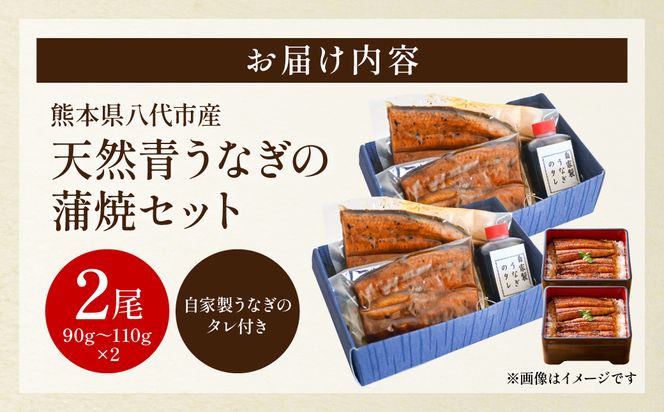 熊本県 八代市産 天然青うなぎの蒲焼 蒲焼セット 2尾（90g～110g×2） 自家製うなぎのタレ 鰻 ウナギ うなぎの蒲焼 丑の日 国産 うな丼 うな重
