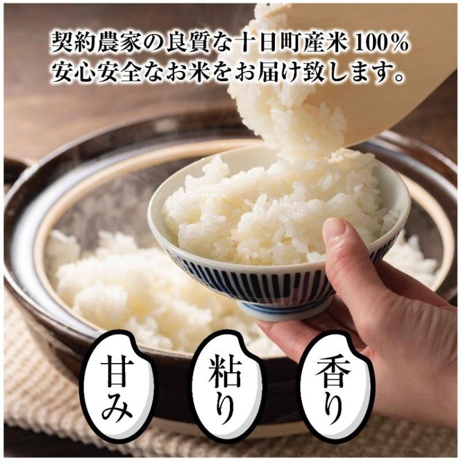 令和7年産 魚沼産 新之助 5kg 米 お米 コメ プレミアム米 新潟 魚沼 魚沼産 白米 送料無料 新潟県産 精米 産直 産地直送 契約農家 お取り寄せ 魚沼三昧 川治米店 新潟県 十日町市 大粒 甘み 