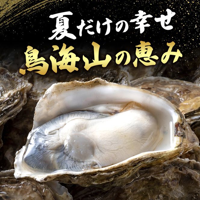 象潟産 天然岩牡蠣 10～15個 ナイフ付【牡蠣 夏牡蠣 かき 象潟 生食可 魚介類 海鮮　海産物 海の幸】　みずしまや