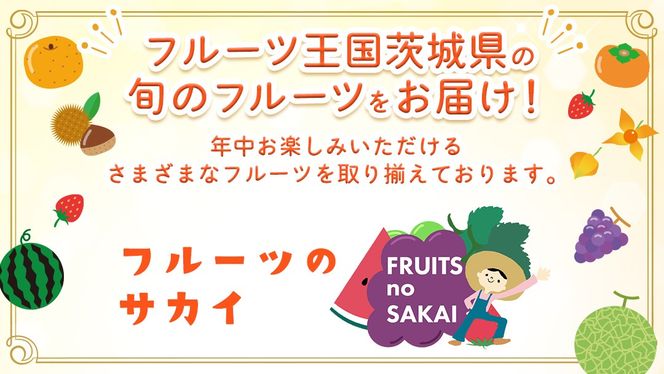 【桐箱入り】3色いちご 9～15粒 【2027年1月から発送開始】（茨城県共通返礼品 [いちご]：城里町産） いちご イチゴ 苺 甘い 国産 人気 桐箱 贈答 贈り物 ギフト ふるさと納税