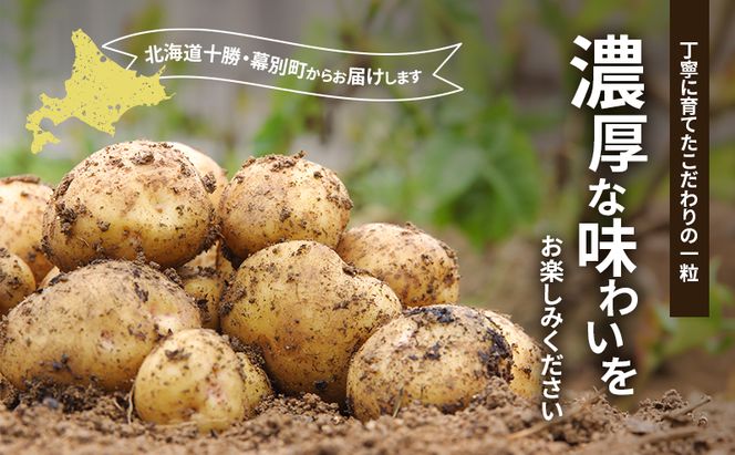 十勝 幕別町産 じゃがいも15kg おまかせ3種(各5kg)【渡邉農場】 [2026年11月出荷開始]【 野菜 いも イモ 芋 じゃがいも ジャガイモ 北海道 十勝 幕別 】