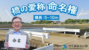 つくばみらい市 橋の愛称 命名権 （橋長5m～10m）  命名権 命名 橋 名づけ 権利 広告 ネーミングライツ [EO01-NT]