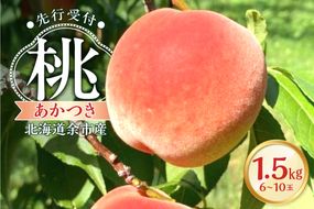 【2026年産 先行予約】＜北海道余市産＞桃「あかつき」1.5kg（6～10玉）_Y103-0058
