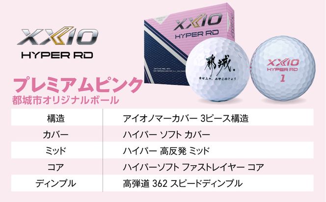 ゼクシオ 14 レディス カーボンシャフト ブルー 12本セット ≪2025年モデル≫ ゴルフボールセット _IO-C703 _（都城市） ドライバー フェアウェイウッド ユーティリティ アイアン ダンロップ XXIO メンズ レディス 女性用 ゴルフ用品 ゴルフクラブ ギア クラブセット フルセット ふるさと納税 ゴルフ 宮崎県 都城市