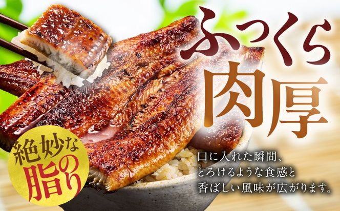 G3615d 【土用の丑の日までにお届け】うなぎ 蒲焼き 暴れ盛り 合計 600g【鰻 真空パック 簡単調理 訳あり サイズ不揃い 人気 惣菜 うな重 うな丼 ひつまぶし にも】