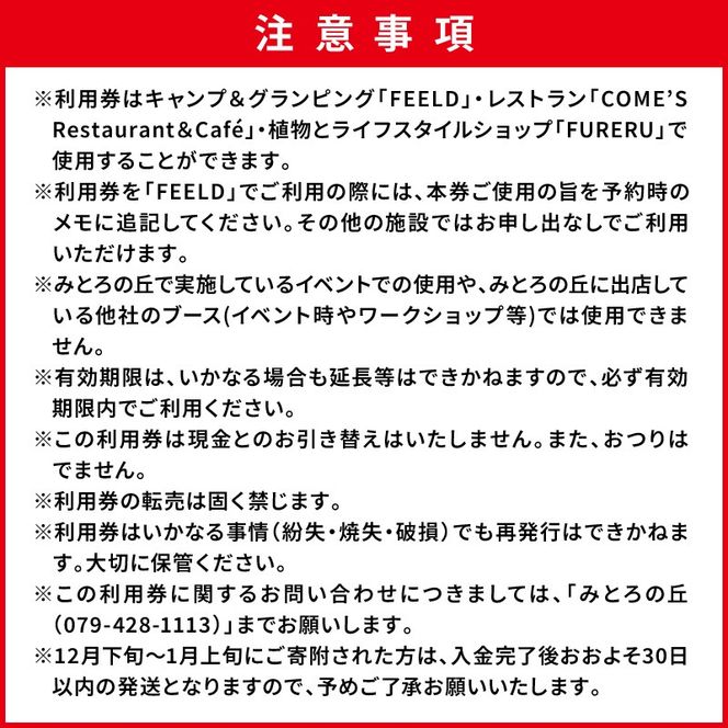 遊んで、食べて、泊まれる！「みとろの丘」ふるさと納税限定利用券(3000円×10枚)《 体験 自然 宿泊券 チケット クーポン 》【2412L14802】