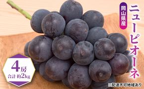 ぶどう 2026年 先行予約 ニュー ピオーネ 4房（合計約2kg） ブドウ 葡萄  岡山県産 国産 フルーツ 果物 ギフト 果物類 