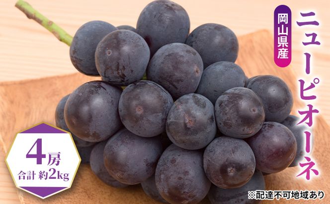 ぶどう 2026年 先行予約 ニュー ピオーネ 4房（合計約2kg） ブドウ 葡萄  岡山県産 国産 フルーツ 果物 ギフト 果物類 