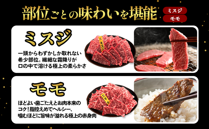 宮崎県産 黒牛 焼肉 赤身 牛肉 焼肉セット ミスジ モモ 2点盛り 560g(280g × 2パック)焼肉用 肉 お肉 牛 国産牛 食べ比べ セット 小分け 真空パック  冷凍 贈答 贈答用 ギフト BBQ アウトドア キャンプ  国産 国産牛 九州 宮崎県 えびの市 送料無料