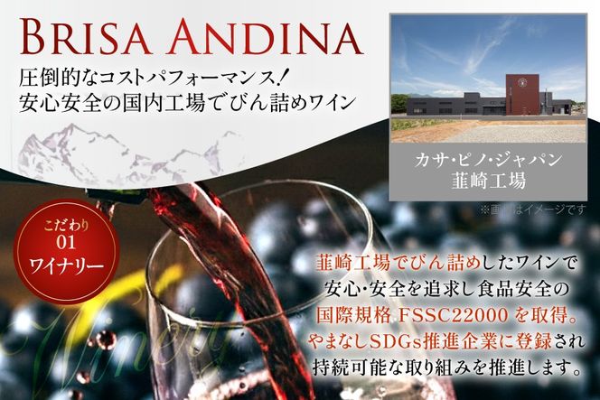 ワイン 赤 ブリサ・アンディーナ メルロー 500ml 12本 セット [カサ・ピノ・ジャパン 山梨県 韮崎市 20745346] ワインセット 山梨 酒 お酒 赤ワイン アルコール ぶどう 果実酒