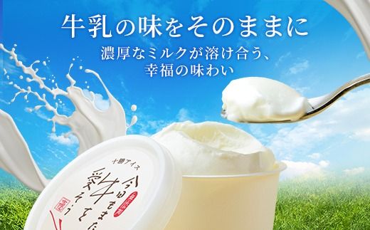 北海道 古田牧場 アイスクリーム ミルク 12個 セット 牧場 アイス 牛 牛乳 生乳 スイーツ デザート おやつ カップアイス 贈り物 お取り寄せ 詰め合わせ 詰合せ 十勝 士幌町【MB02】