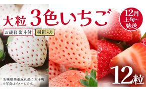 【 お歳暮 熨斗付き 】桐箱入り 大粒 3色いちご 12粒 (茨城県共通返礼品：大子町) いちご 苺 果物 フルーツ 果実 贈答用 ギフト 贈り物