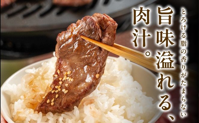 mrz0489 【お試し】黒毛和牛 焼肉用 400g【スピード発送 氷温熟成×特製ダレ 肩ロース 400g×1P 訳あり サイズ不揃い 焼肉 BBQ バーベキュー 人気】