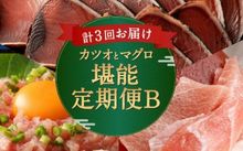 【3回定期便】カツオとマグロ堪能定期便B お楽しみ 切り落とし 刺身　　　　　　　　　　　　　寄付金額30,000円