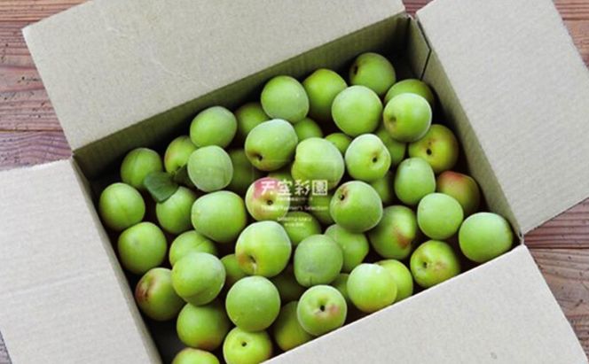 信州産南高梅 2kg 野菜 野菜セット 果肉 芳醇 香り キング 梅干し ジャム ジュース 特産物 