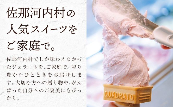 ジェラート アイス スイーツ SANAGOCHI GELATO 6個 または 12個 株式会社クリスティーヌ 《30日以内に出荷(土日祝除く)》 徳島県 佐那河内村 お菓子 ご褒美 プレゼント いちご チョコ ピスタチオ ミルク 【配送不可地域あり】(離島)---sanagouchi_kst_1_6k---