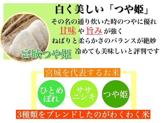 宮城県産 三大銘柄 いいとこ取りブレンド米 わくわく米 5kg / 米 お米 精米 ブレンド米 白米 ご飯 産地直送