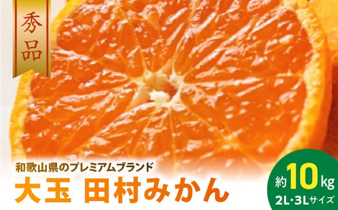 AB7302_ 【2026年先行予約】大玉田村みかん 2L・3Lサイズ 秀品 約10kg _ 和歌山プレミアムブランドみかん 大粒有 大きい 蜜柑 ミカン フルーツ 果物 ギフト お歳暮